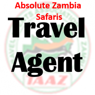 Group logo of Absolute Zambia Safaris